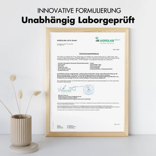 5-HTP 200 - 5-hydroxytryptophane - 30% d'extrait de Griffonia Simplicifolia