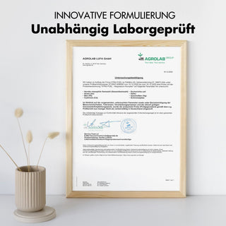 Complexe de magnésium* - formule quintuple avec 400 mg de magnésium élémentaire