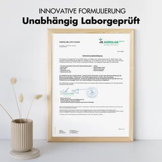 Nicotinamide Riboside - Longevity Précurseur NAD+ avec niacine pour l'énergie et la vitalité*.