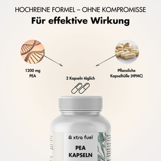 Gélules PEA - Palmitoyléthanolamide micronisé - 1200mg par jour