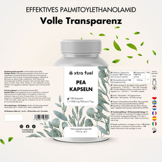 Gélules PEA - Palmitoyléthanolamide micronisé - 1200mg par jour